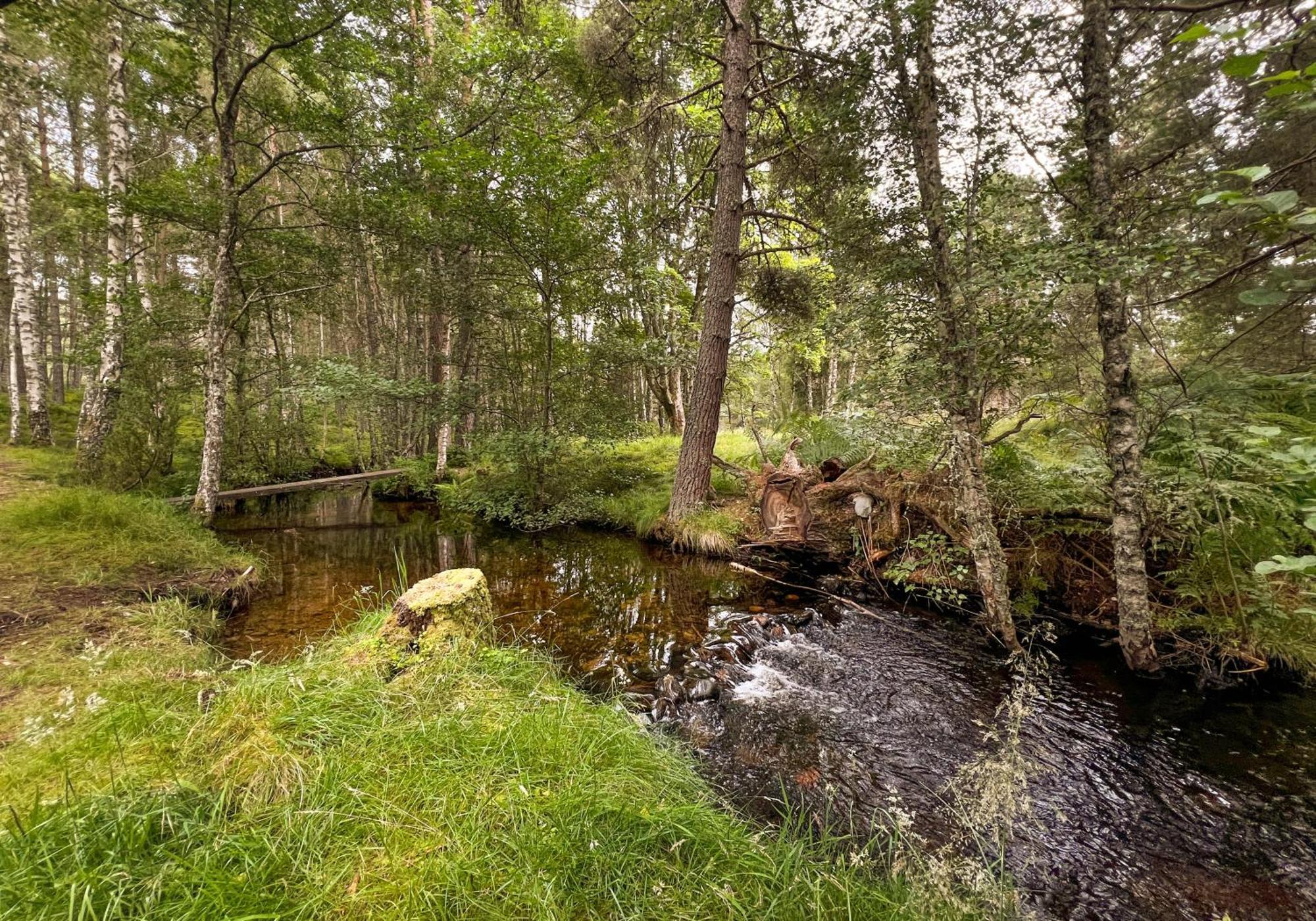 Cairngorm Lodge Rothiemurchus アビーモア エクステリア 写真